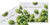 Personalized Custom Tempered Glass Cutting Boards -12x8-