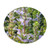 Blue Fortune Agastache Temperate Butterfly Hummingbird Garden Purple Powder Puff Flowers Mint Live Plant Starter Size 4 Inch Pot Emerald R Blue Fortune Agastache Temperate Butterfly Hummingbird Garden Purple Powder Puff Flowers Mint Live Plant Starter Size 4 Inch Pot Emerald R