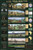 Picture Peddler Human Evolution Educational Science Teacher Classroom Chart Print Poster 24x36