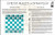 Chess Rules Instruction  and  Strategy Laminated Chart - Large 11 x 17 Size