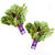 Kejora Fresh Organic Red Chard 2 Bunches