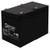 Mighty Max Battery 12V 5AH SLA Battery Replacement for Vision CP1250H - 2 Pack Brand Product