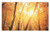Lunarable Forest Doormat- Fall Season Forest with Branches Sun Beam Woods Monochromic Scenic Nature Picture- Decorative Polyester Floor Mat with Non-Skid Backing- 30 W X 18 L Inches- Orange Brown