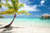 Palm Tree and Huts on Tropical Beach Photo Art Print Cool Huge Large Giant Poster Art 54x36