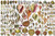 Feenixx Publishing Laminated North American Shells Educational Science Chart Poster 36 x 24in
