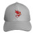 Suny Oneonta Logo Unisex Adult Baseball Cap Golf Baseball Cap Adjustable Sandwich Cap Gray