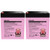 Razor E100 12v 5Ah Replacement Electric Scooter SLA CB1250 by Charity Battery - 2 Pack