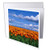 3dRose Danita Delimont - Washington - Orange Tulips in Field Skagit Valley- Washington State - 12 Greeting Cards with envelopes -gc_251561_2-