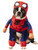 Rubie's Marvel Walking Spider-Man Pet Costume- Small
