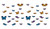 Beistle 54756 40Piece Butterfly Cutouts, Assorted Sizes, Multicolored