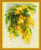 RIOLIS 1615 - Mimosa - Counted Cross Stitch Kit 7" x 9½" Zweigart 14 ct. Flaxen AIDA 15 Colors