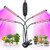 Led Grow Lights for Indoor Plants Full Spectrum- Grow Lights 252 LEDs 4 Heads Plant Growing Lamps with Timer 360Adjustable Gooseneck for Seedlings and Succulents