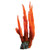 Underwater Treasures Orange Finger Coral