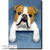 Michael Park RED Bulldog Door Topper