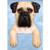 Michael Park Fawn Bullmastiff Door Topper