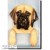 Michael Park Fawn Mastiff Door Topper