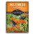 Survival Garden Seeds - Butterfly Milkweed Seeds for Planting - Packet with Instructions to Plant and Grow Your Own Home Garden - Non-GMO Heirloom Seeds Grown in USA