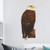 ROFARSO Lifelike Cool Bald Eagle Animal 3D Vinyl Wall Stickers Removable Bird Raptor Wall Decals Art Decorations Decor for Nursery Baby Bedroom Playroom Living Room Murals