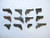 BrickArms Pistol Pack for Minifigures - 12 pc. Exclusive Set!
