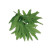 Tropical Fern Leaf Wristlet-Anklet 10" -pack of 2-