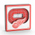 YouTheFan NHL Detroit Red Wings - Joe Louis Arena 3D StadiumView Magnet3D StadiumView Magnet Team Colors Small