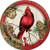 Creative Converting 8-Count Sturdy Style Dessert-Small Paper Plates Winter Cardinal