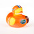 BSI NCAA Florida Gators 4" All Star Duck4 All Star Duck Orange One Size