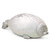szkn Cute Pillows Blob Seal Plush Pillow Round Chubby Soft Hug Plush Stuffed Seal Cushion Cotton Animal Plush Toy White Small