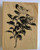 Nature's Blessings Fine Art Stamps, Camellia