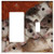 Rocker-GFCI Toggle Combination Wall Plate Cover - Mastomys Mice Nager Rodents Pets Africa Savannah 2