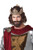 California Costumes mens Medieval King Wig Adult Sized Costume Brown One Size US
