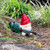 Funny Army Garden Gnome Statue Resin Desktop Lawn Ornament Figure Sculpture Indoor Outdoor Home Yard Decor Lawn Patio Yard Combat Garden Gnome Resin Cartoon Sculpture Ornament Outdoor Statues -C- Funny Army Garden Gnome Statue Resin Desktop Lawn Ornament Figure Sculpture Indoor Outdoor Home Yard Decor Lawn Patio Yard Combat Garden Gnome Resin Cartoon Sculpture Ornament Outdoor Statues -C-