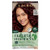 Clairol Natural Instincts Semi-Permanent Hair Dye 4RV Dark Burgundy Hair Color 1 Count
