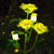 Solar Garden Stake Lights Rose Flowers Lights LED Yellow Solar Stake Lights with 5 Roses Waterproof for Garden Yard Christmas Pathway Grave Decor
