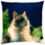 LESGAULEST Throw Pillow Cover -18x18 inch- - Cat Animal Feline Pet Cats 3