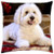 LESGAULEST Throw Pillow Cover -18x18 inch- - Dog Puppy Animal Pet Canine Cute Adorable White