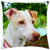 LESGAULEST Throw Pillow Cover -18x18 inch- - Dog Animals Puppies Pet Puppy Pets Canine