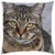 LESGAULEST Throw Pillow Cover -18x18 inch- - Cat Sad Sweet Pet Dear Kitten Tiger Cat 2