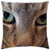 LESGAULEST Throw Pillow Cover -18x18 inch- - Cat Kitten Cat Head Cat Eye