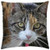 LESGAULEST Throw Pillow Cover -18x18 inch- - Cat Feline Domestic Pet Sitting Whisker