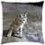 LESGAULEST Throw Pillow Cover -18x18 inch- - Cat Animal Kitten Kitty Looking Feline Pet