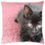 LESGAULEST Throw Pillow Cover -18x18 inch- - Kitten Black Cute Cat Pet Animal Feline Kitty