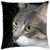 LESGAULEST Throw Pillow Cover -18x18 inch- - Cat Look Eyes Face Head Cat Head Feline Pet