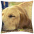 LESGAULEST Throw Pillow Cover -18x18 inch- - Dog Animal Pet Pedigree