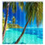 DeeCabin Ocean Beach Shower Curtain for Bathroom Tropical Palm Trees Bath Curtain Teal Blue Sky Sea Nautical Shower Curtain Set with Hooks 69X70in