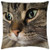 LESGAULEST Throw Pillow Cover -24x24 inch- - Cat Norwegian Forest Cat Cat Eyes Cute Ears Head 2