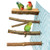 4 Pack Natural Wood Bird Perch for Bird CagesParrot Stand Perch Platform Exercise Playground Toys Paw Grinding Stick Perch Stand Cage Accessories for Budgies Cockatiel Conure Parakeet Lovebirds -H01-