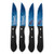 Sports Vault NFL Tennessee Titans Steak Knive Set  9.75"