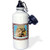 3dRose "Cat In A Window animal moggie tabbies tabby cat cat cats cute" Sports Water Bottle 21 oz White