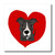 3dRose Fun Grey and White Pitbull Puppy Dog and Red Heart Love-Iron on Heat Transfer, 6 by 6", for White Material (ht_201822_2)
